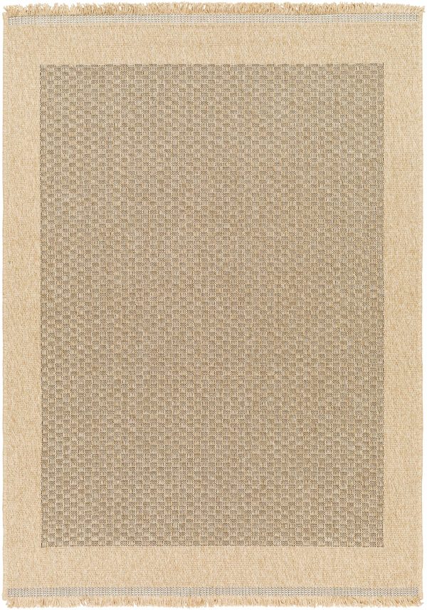 Sample Biana Area Rug Discount